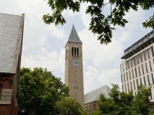 probation, student loan fraud, fraud, female